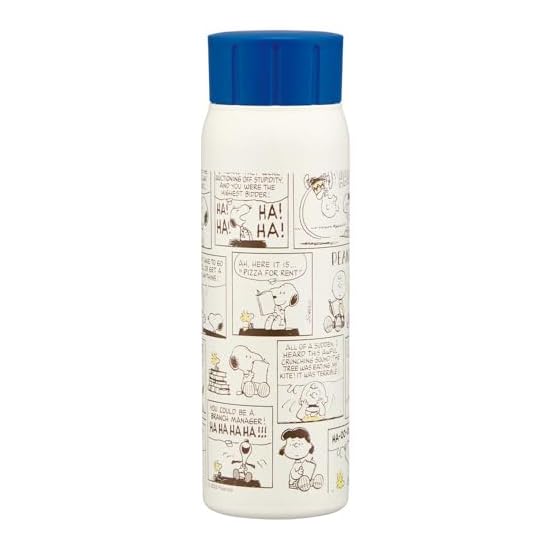 Skater Carbonated Beverage Compatible Vacuum Insulated Stainless Steel Bottle, 500ml, Direct Drink,