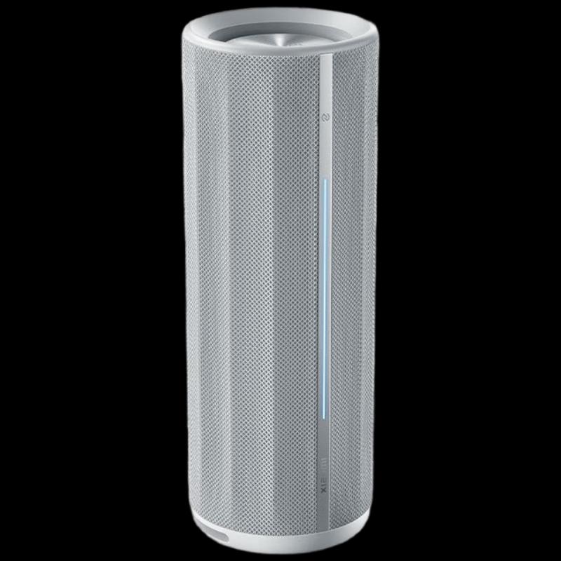 Xiaomi Outdoor Portable Bluetooth Speaker CN plug (adapter included) (CN version)
