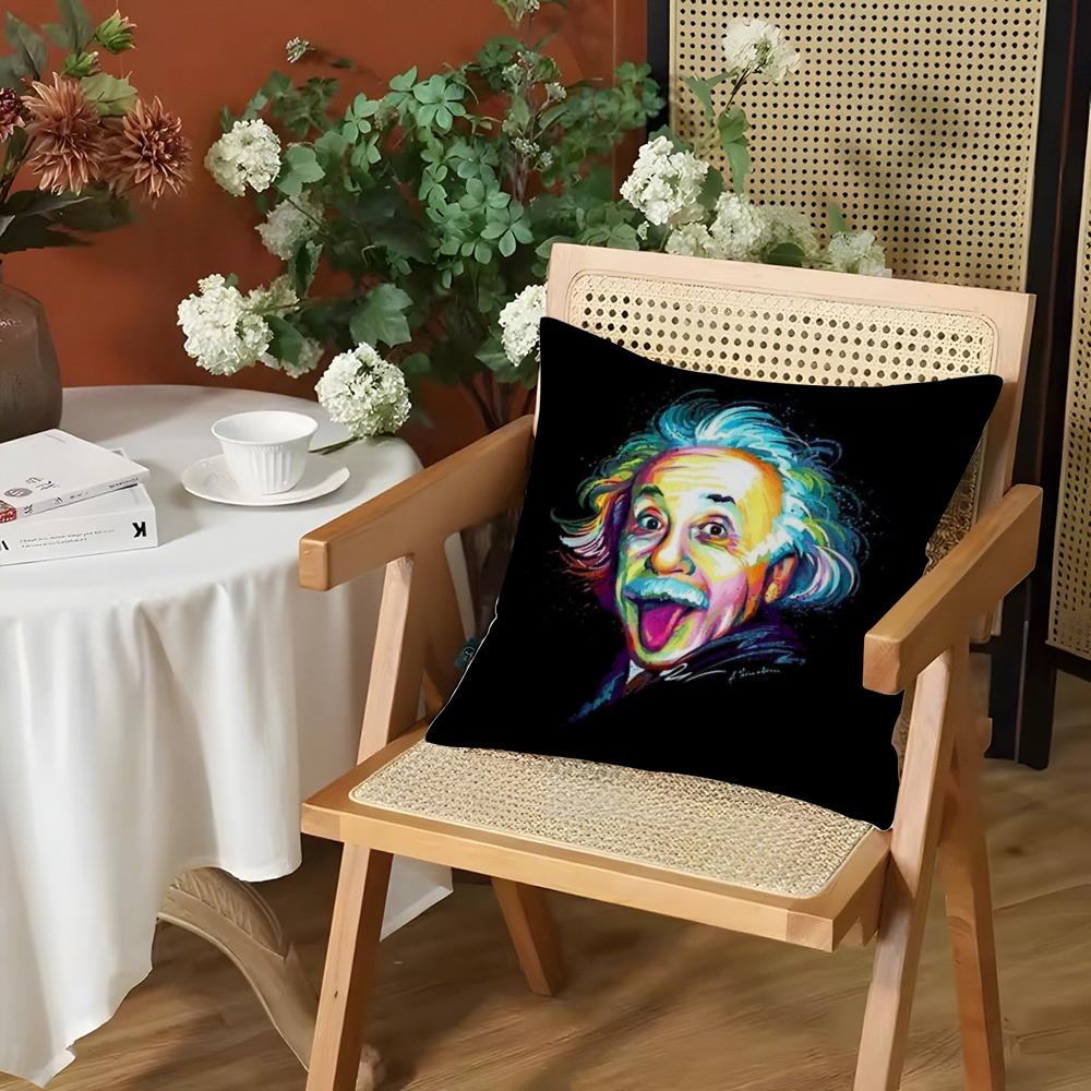 

Funny Physics EEINSTEINes Cushion Cover Silky Short Plush Invisible Zipper Dustproof Sofa Pillow Case for Home Decor 30x30cm