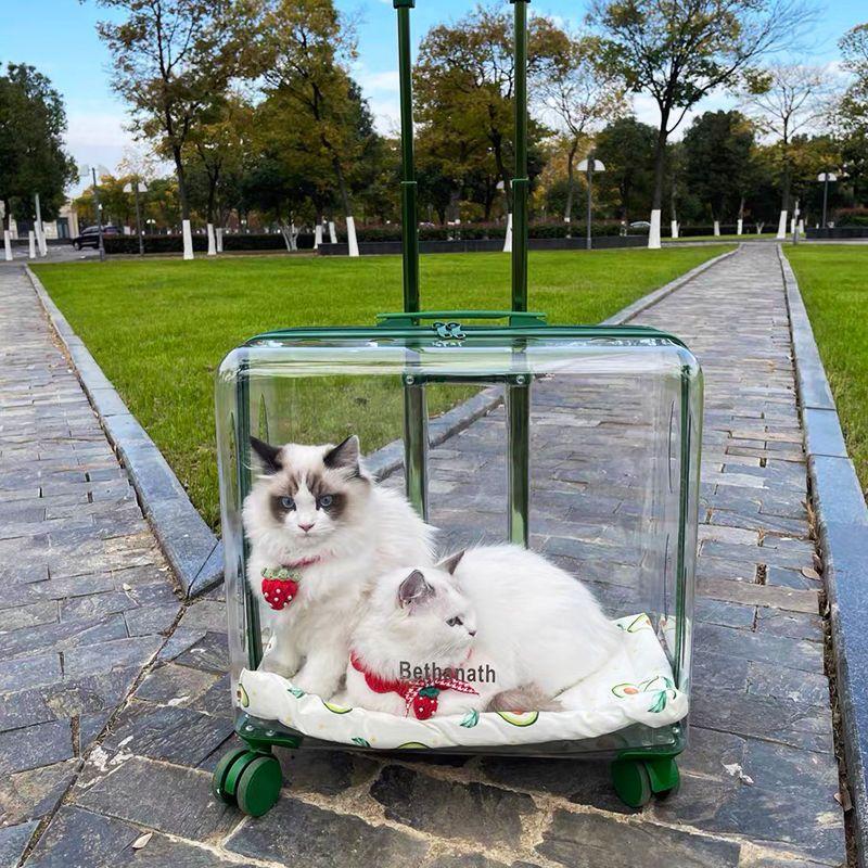 

Lightweight Transparent Pet Trolley Case, Beauty Case, Professional Cat Stroller with Wheels, Expandable Pets Accessories зелёный
