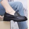 Women's Shoes Spring New Platform Women's Black Thick Heel Single Shoes Jk Princess Small Leather Shoes