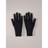 Arcteryx Gothic Glove 3717863