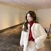 Autumn and Winter New Lamb Wool Coat Loose Small Warm Short Top Women's Round Neck