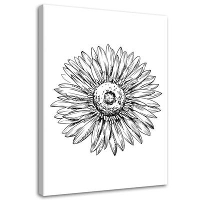 Canvas Print Flower Sketch Black and White
