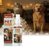Cães – Cuidados de cães