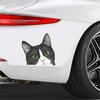 Set of 2 Black and White Curious Cat Car Stickers 5.5"x5.1" Cartoon Design Waterproof