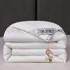 New Solid Color Simple Satin Silk Quilt Spring and Autumn Cotton Thickened Winter Quilt Universal In All Seasons