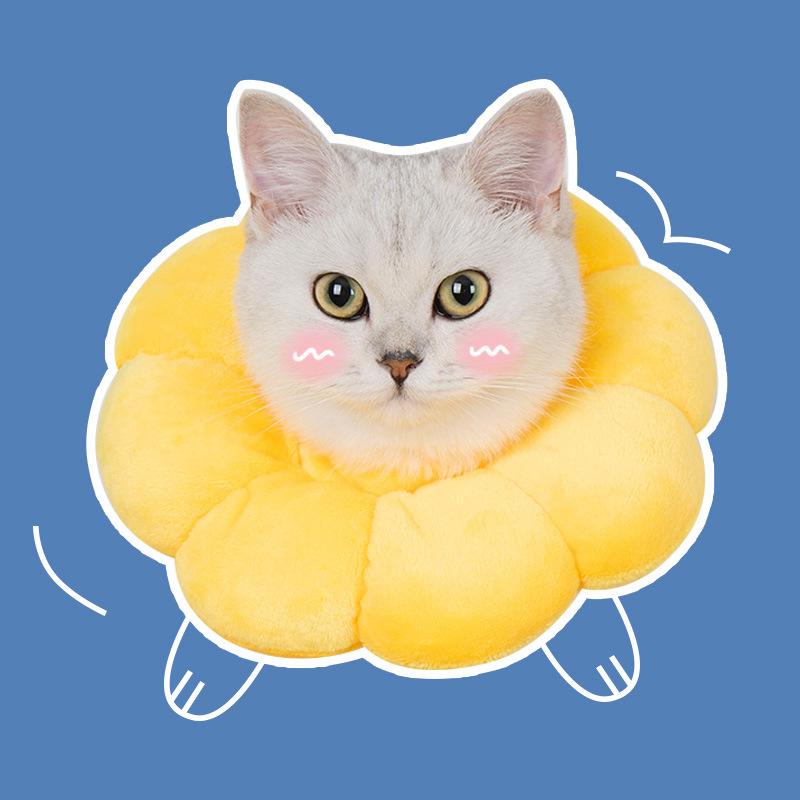 

Rainbow-colored sunflower Elizabethan collar for cats, dog collar, sterilization collar, anti-licking and anti-scratch head cover XS