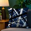 Classic Van H-Halen Pillow Case Home Double-Sided Printing Short Plush Colorfast Microfiber Cushion Cover