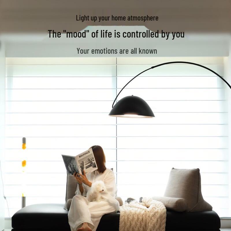 Nordic Minimalist Creative Fishing Floor Lamp
