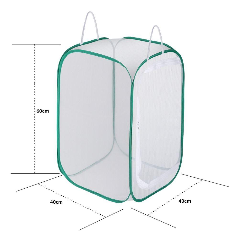 Grasshopper Breeding Butterfly Insect Observation Cage Insect Supplies Insect Cage Habitat Cage