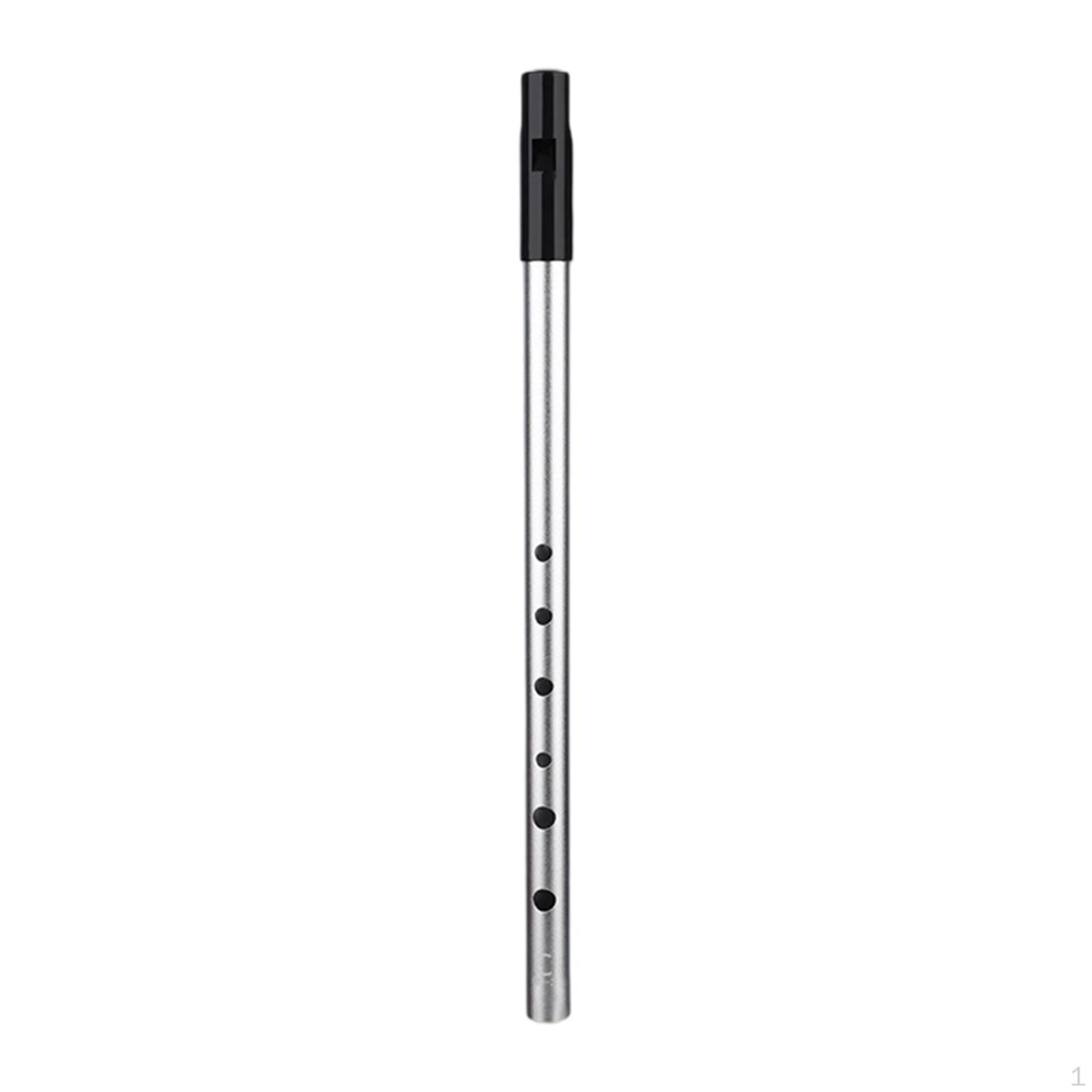 

Whistle 6 Hole Easy to Clean Celtic Folk Music Portable Party Gift Instrument Flute Whistling C Key argent