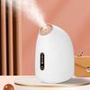 Household Fragrance Beauty Face Steamer Cold and Hot Face Sprayer Small Facial Ion Water Replenishing Spray Machine