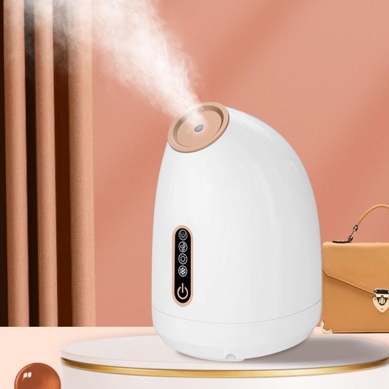 Household Fragrance Beauty Face Steamer Cold and Hot Face Sprayer Small Facial Ion Water Replenishing Spray Machine