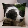 Cute Scottish Border Collie Pillowcase Dog Print  Decor Pet Animal Cushion Cover Sofa