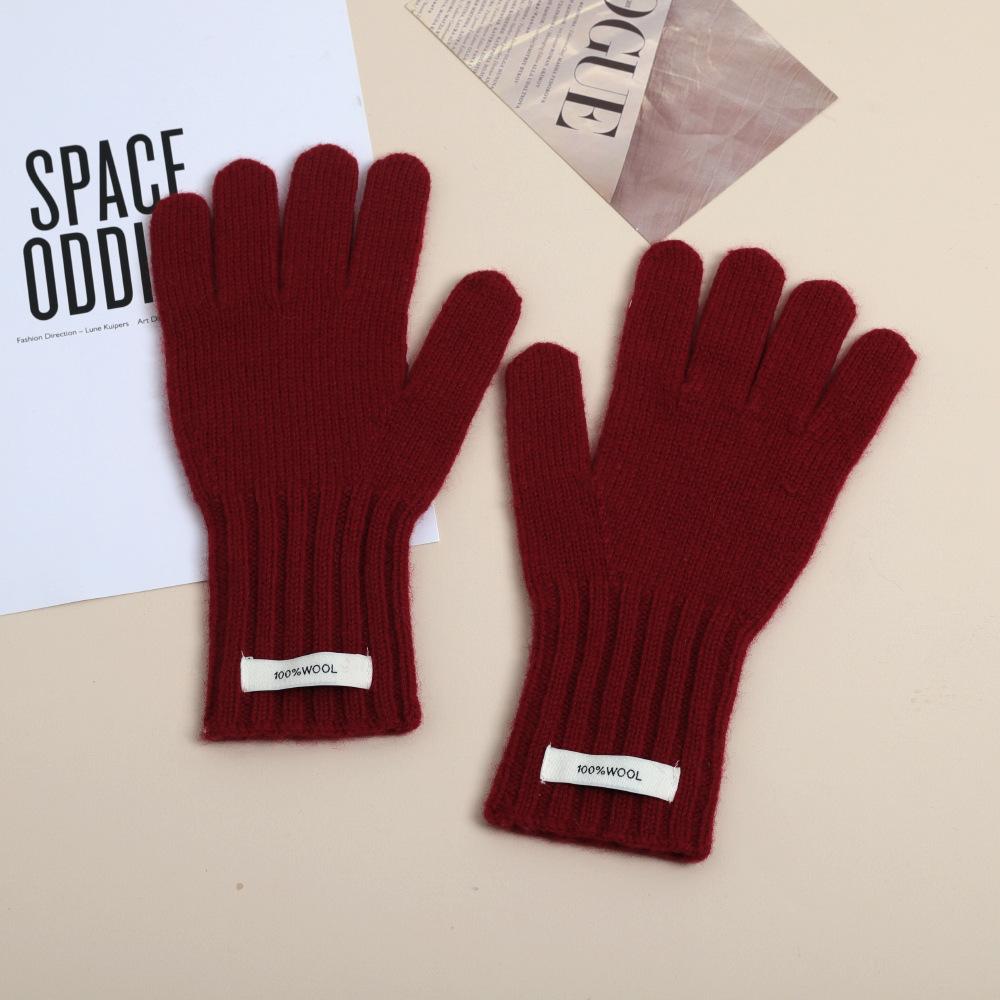 Fashion Korean Ins High-end Sense Solid Color Labeling Knitted Thermal Gloves Women's Versatile Cold-proof Five-finger Sleeves