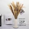 Nordic Style Dried Flower Bouquet: Mixed Arrangement with Small Reeds, Bunny Tail Grass, and Duster for Home Decoration.