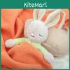 Sleeping Bunny Plush Toy With Pp Cotton Filling For Baby Girls Gift Idea