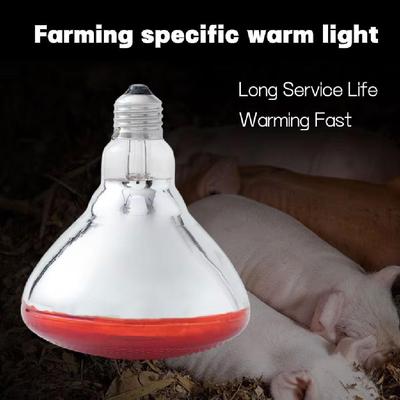 Iluminare profesională – Lămpi agricole