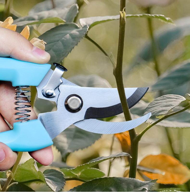 Stainless Steel Pruner Multi-Purpose Gardening Pruning Tool for Landscape Fruit Tree Scissors Horticulture Branch Pruner