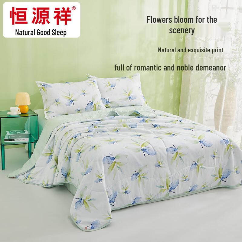 

Hengyuanxiang Washable Antibacterial Summer Quilt Duvet Insert 200x230cm
