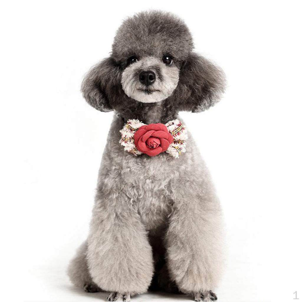 

Design Small Medium with Rose Flower Bowknot Decoration Red M