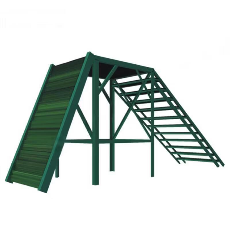 Professional Canine Agility and Obedience Training Equipment