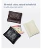 Exquisite Spring Clip Mini Storage Bag for Earphones, Lipstick, and Coins