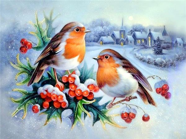 

Алмазная живопись Птица Снег Домашний декор Квадратная/круглая вышивка Мозаика Животное Зима 5d Diy Наклейка на стену Full Round 20x30CM
