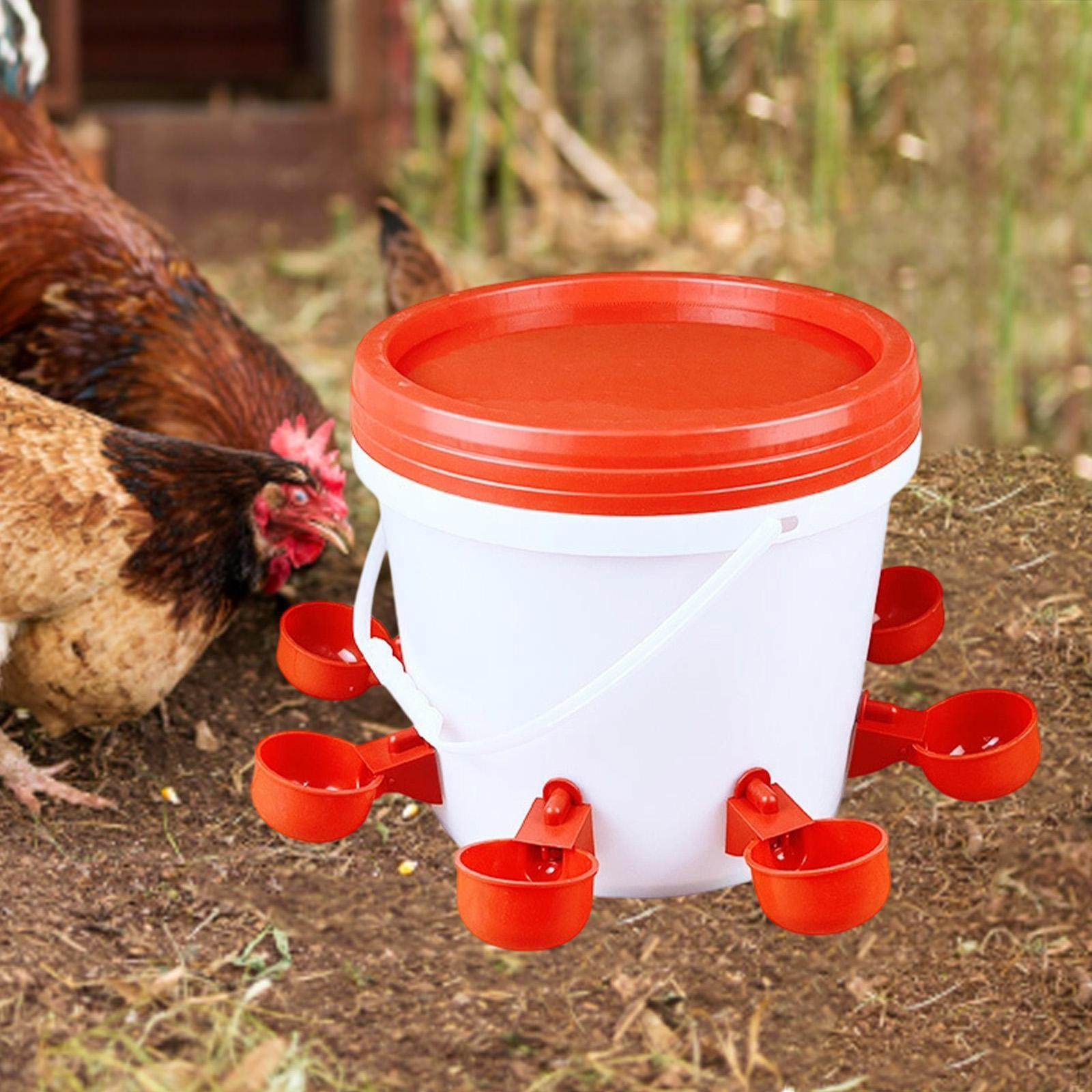 

Комплект кормушки и поилки для кур, Поилка для птицы, Легкий с чашками для воды, для