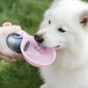 Garrafa de Água Esférica para Cães Dispensador Portátil de Água para Animais de Estimação Garrafa de Aço Inoxidável à Prova de Vazamentos com Tigela Dobrável de Silicone para Cães Viagem Caminhada ao Ar Livre