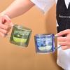 Simple Color Double-layer Glass Thickened Borosilicate Glass Coffee Cup with Handle Anti-scalding Drinking Water Cup