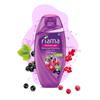 Fiama Body Wash Blackcurrant Bearberry 250ml Pack of 1 For Radiant Smooth Skin Glow Men Women