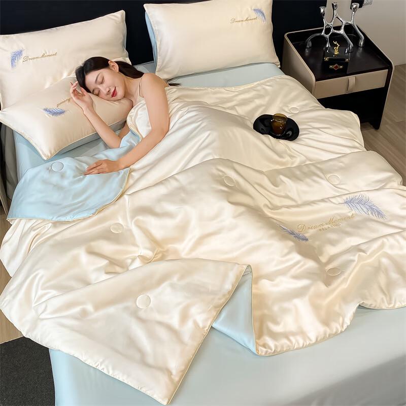 Aosmeng Ice Silk Embroidered Summer Quilt