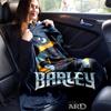 1pc, Pixar Onward Barley Blue Moon Biker Jacket Throw Blanket Home Decor, Couch Cover, Outdoor Blanket, Gift, Flannel Throw