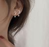 Japanese & Korean Style Silver-Plated Stud Earrings: Trendy & Versatile Design for Women