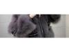 Korean Style Grey Faux Fur Batwing Sleeve Rivet Winter Coat for Women