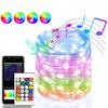 20M RGBIC LED String WS2812B Bluetooth USB Music Dream Color Light 5V Christmas Birthday Party Garland Decor Fairy Lights Home