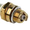 1Pc BM6A Spark Plug Compatible with M7 L7T CJ8 1560 Uses for Gas Powered Lawn Trimmer Chainsaw Tools