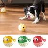 New Pet Puffer Fish Bite Soft Bite-resistant Pet Dog Toy Fun Decompression and Decompression Artifact Toys