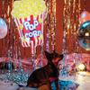 2 pcs Foil Large Size Unique Party Decoration Movie Night For Halloween Birthday Baby Shower Celebration