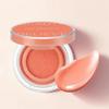 Artist Cushion Blush Dewy Coral