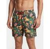 F6GT21 WG282 Beach Shorts