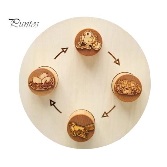 1 Set Tier-Lebenszyklus-Lerntablett Frosch-Vogel-Lebenszyklus Vorschulisches Lernen Holzblock-Puzzlebrett Kleinkinder Jungen Mädchen Pädagogische Tierscheibe