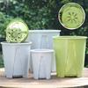 Macetas y jardineras – Contenedores para plántulas