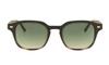 Charly Therapy Sunglasses Unisex Hedgehog [Sidney] CharlyTh-SID77 [Authentic]