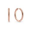 Moments Charm Earrings Women Earrings Gold 289532C00