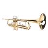 Bb Brass Cornet Kit Golden Key Cornet Musical Instrument with Carrying Case for Beginners Students