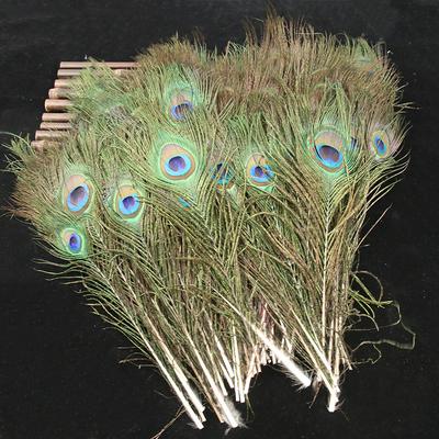 Peacock Feather Natural Feather Decoration Feather Jewelry Home Window Vase Flower Arrangement Decoration 