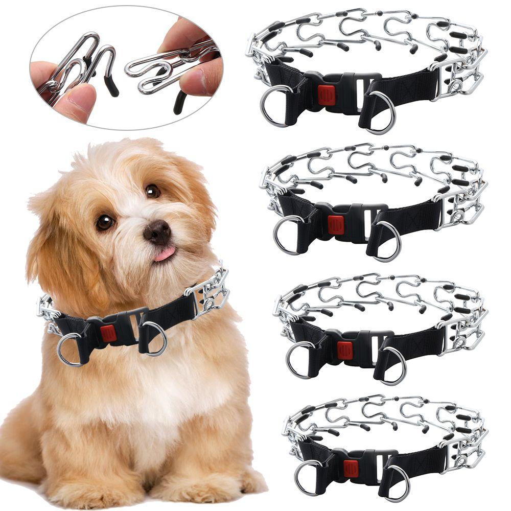 prong collar leash